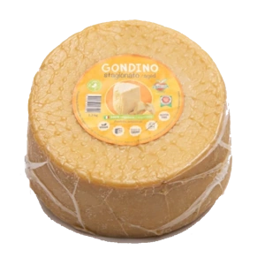 gondino2