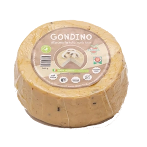 gondino7