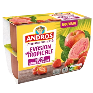 andros2
