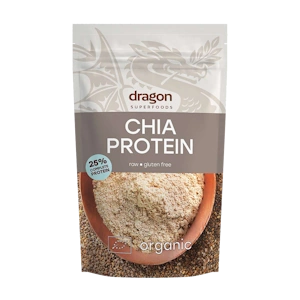 dragon17