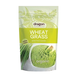 dragon74
