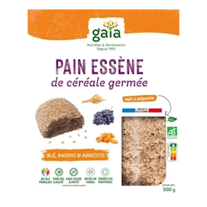 gaia19