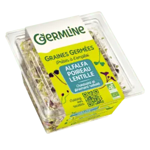 germeline19