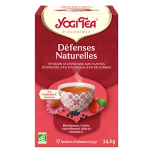 yogitea13