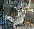 a5dea8bd-5179-4c25-9bee-60114040d4da