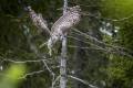 c327a097-4183-4ad7-a3b5-76cd2f8811b3