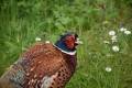 c8150061-7e7c-442d-9429-5c00a76d5312