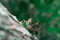 140951c9-2c78-4848-a370-fc67d22bc51b