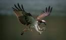 c70932f4-afc8-4695-8bc4-1d0c3df7b8f3