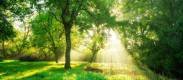 e55dee4a-62da-4807-9d71-a920654fb0d4
