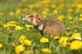 2921041c-f3d5-4b71-9888-5dbb95581f1f