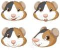 c6b12ebc-204b-42f1-abb9-0eb28fb9ed72